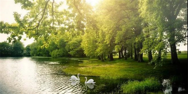 CA88红瞰花园洋房